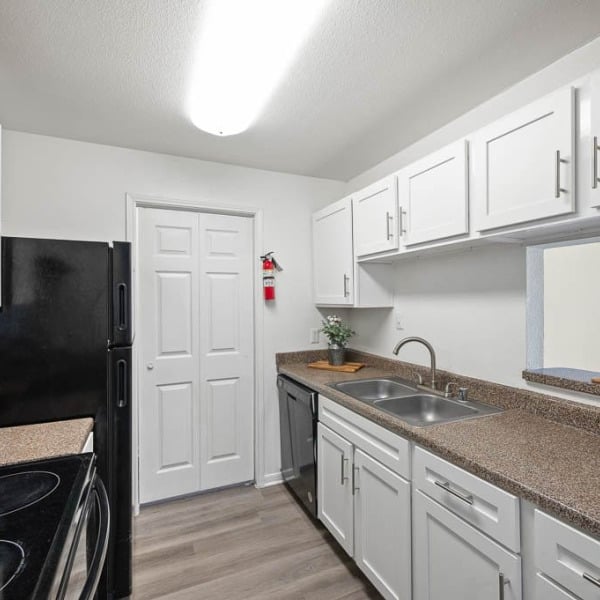 College View Apartments general photo