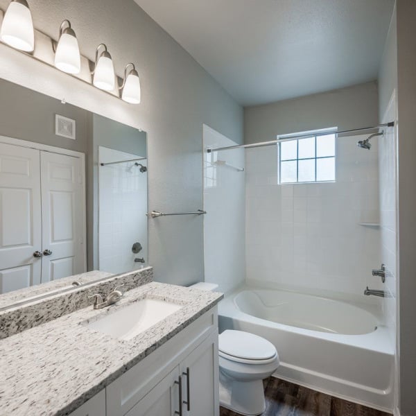 Preserve at Colony Lakes general photo