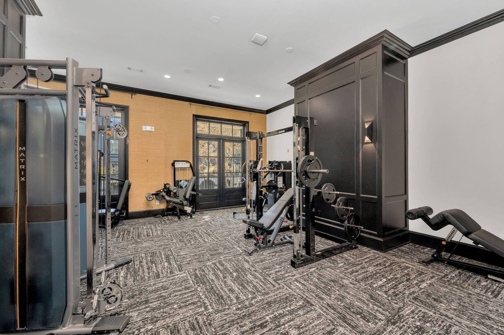A modern gym room with various weight machines, gray-patterned carpet, and black-trimmed walls.