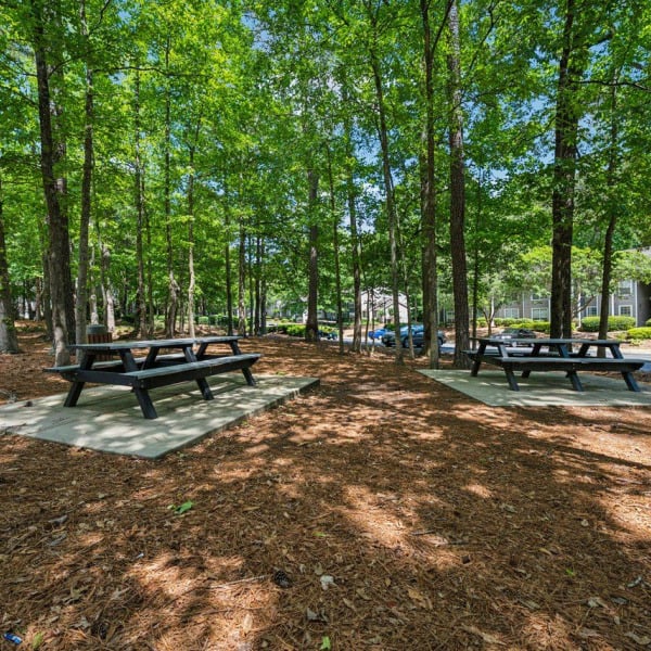 Balmoral Village general photo