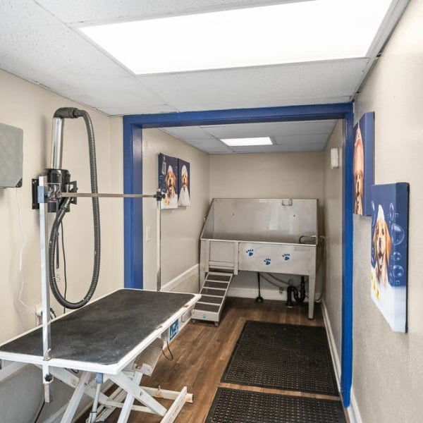 The Whitney general photo