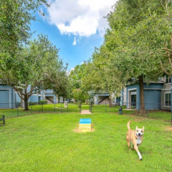 Preserve at Colony Lakes general photo