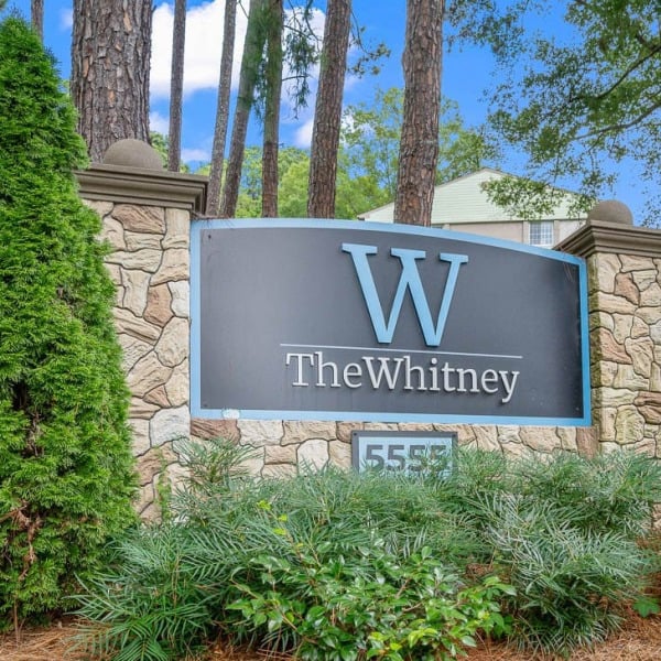 The Whitney general photo