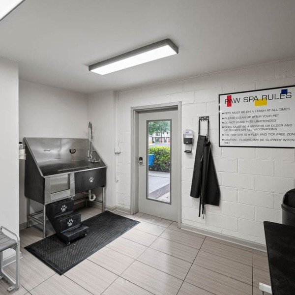 CoHo Apartments general photo
