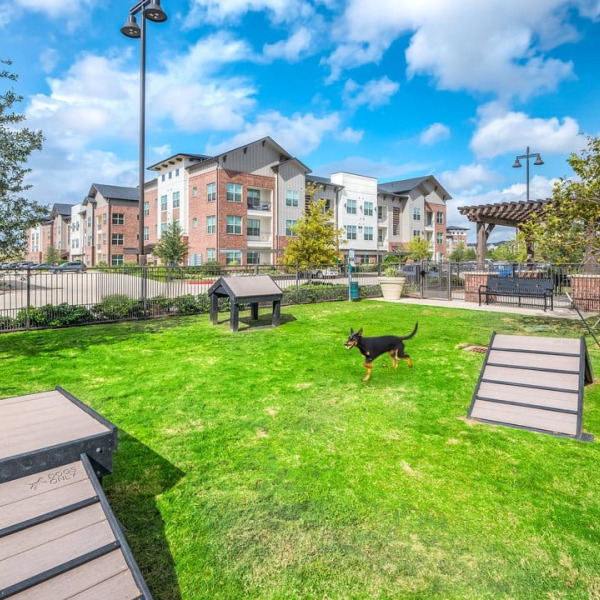 Highpark general photo