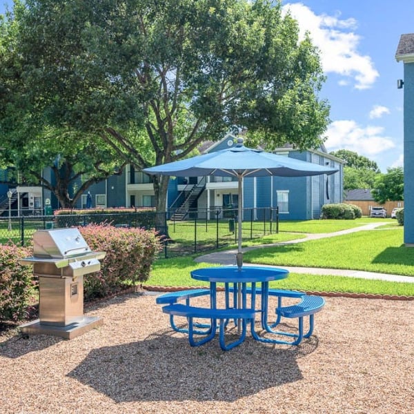 College View Apartments general photo