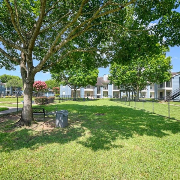 College View Apartments general photo