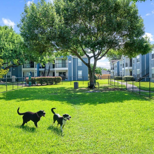 College View Apartments general photo