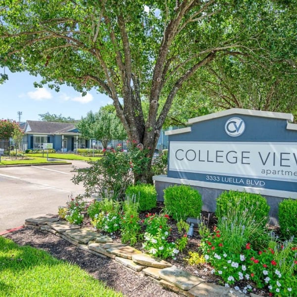 College View Apartments general photo