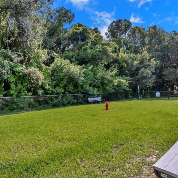Valencia at Westchase general photo