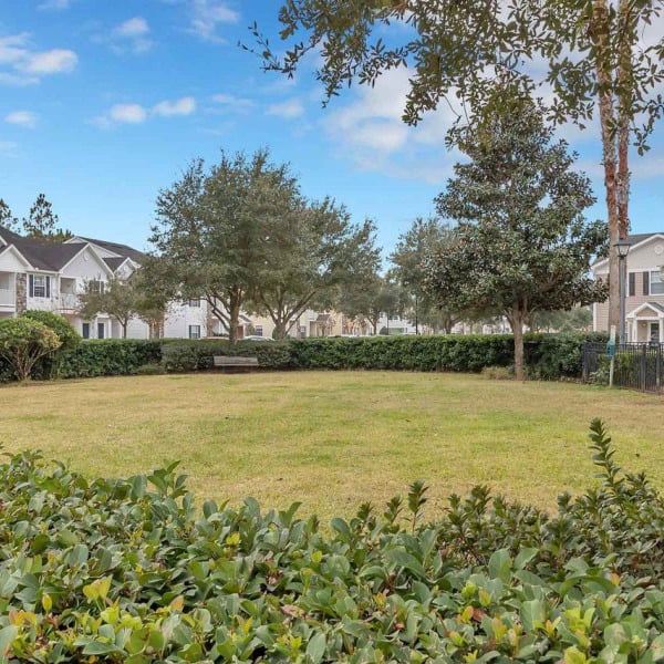 The Villages at Oakleaf general photo