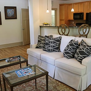 Townhomes at Chapel Watch Village townhome living room with a couch, throw pillows, a rug and coffee tables