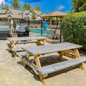Townhomes at Chapel Watch Village community amenities with outdoor picnic tables and grill area