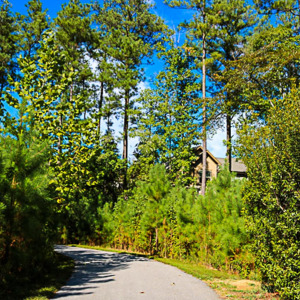 Townhomes at Chapel Watch Village community amenities with a nature path walking trail