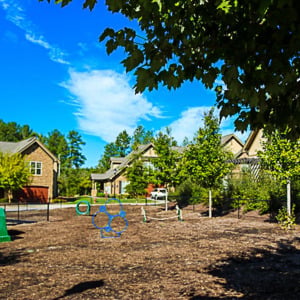 Townhomes at Chapel Watch Village community amenities with a large on-site dog park