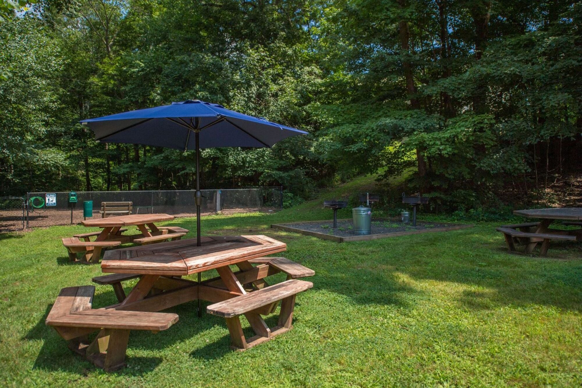 Milestone Apartments Outdoor patio with Adirondack chairs around a fire pit, surrounded by trees and apartment buildings.