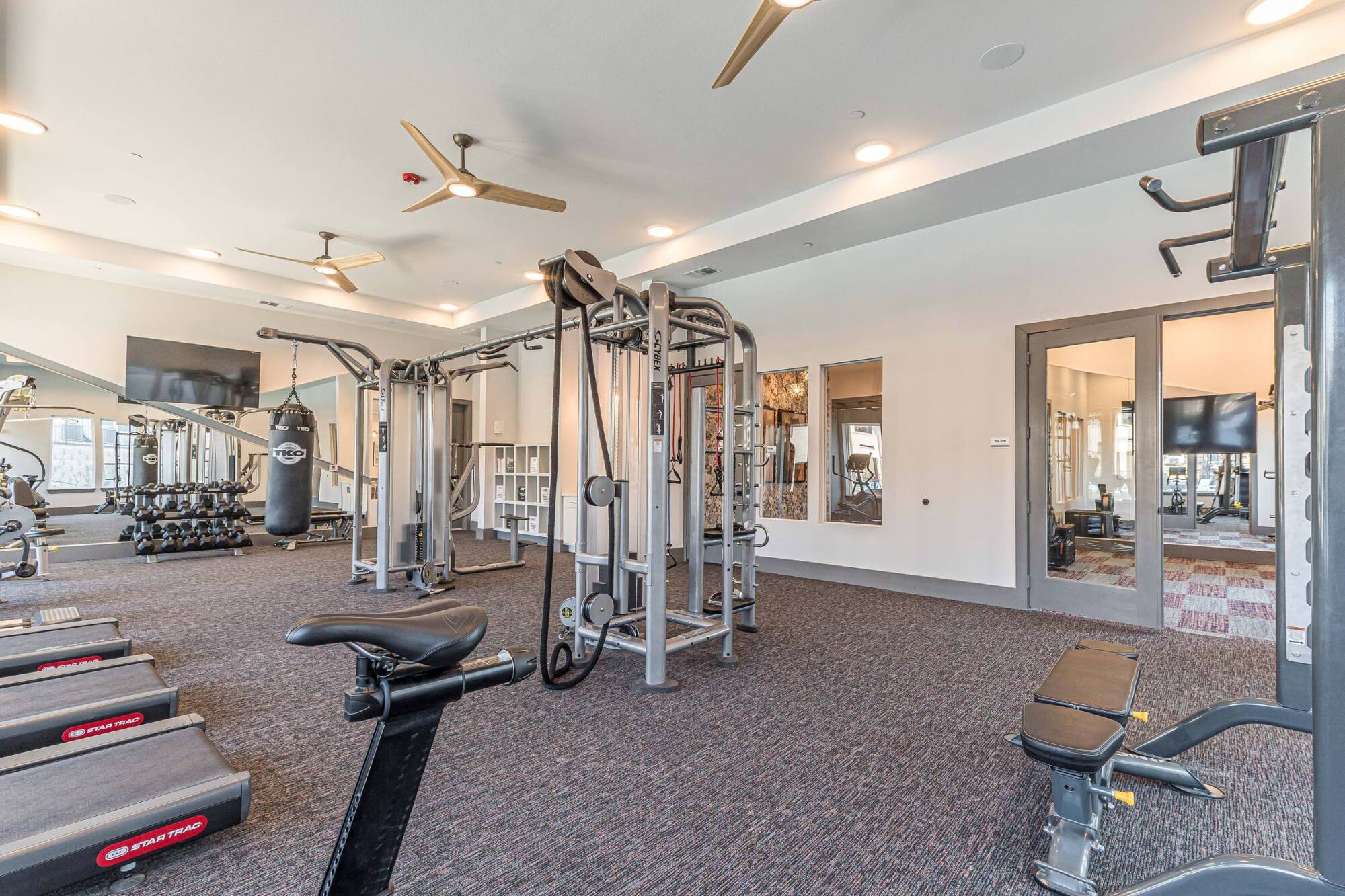 Modern gym with cardio machines, weight equipment, a punching bag, mirrors, and large windows.