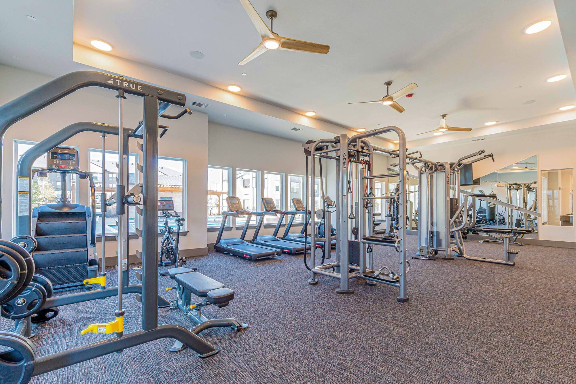 Modern gym with various exercise machines, treadmills, weight benches, and large windows letting in natural light.