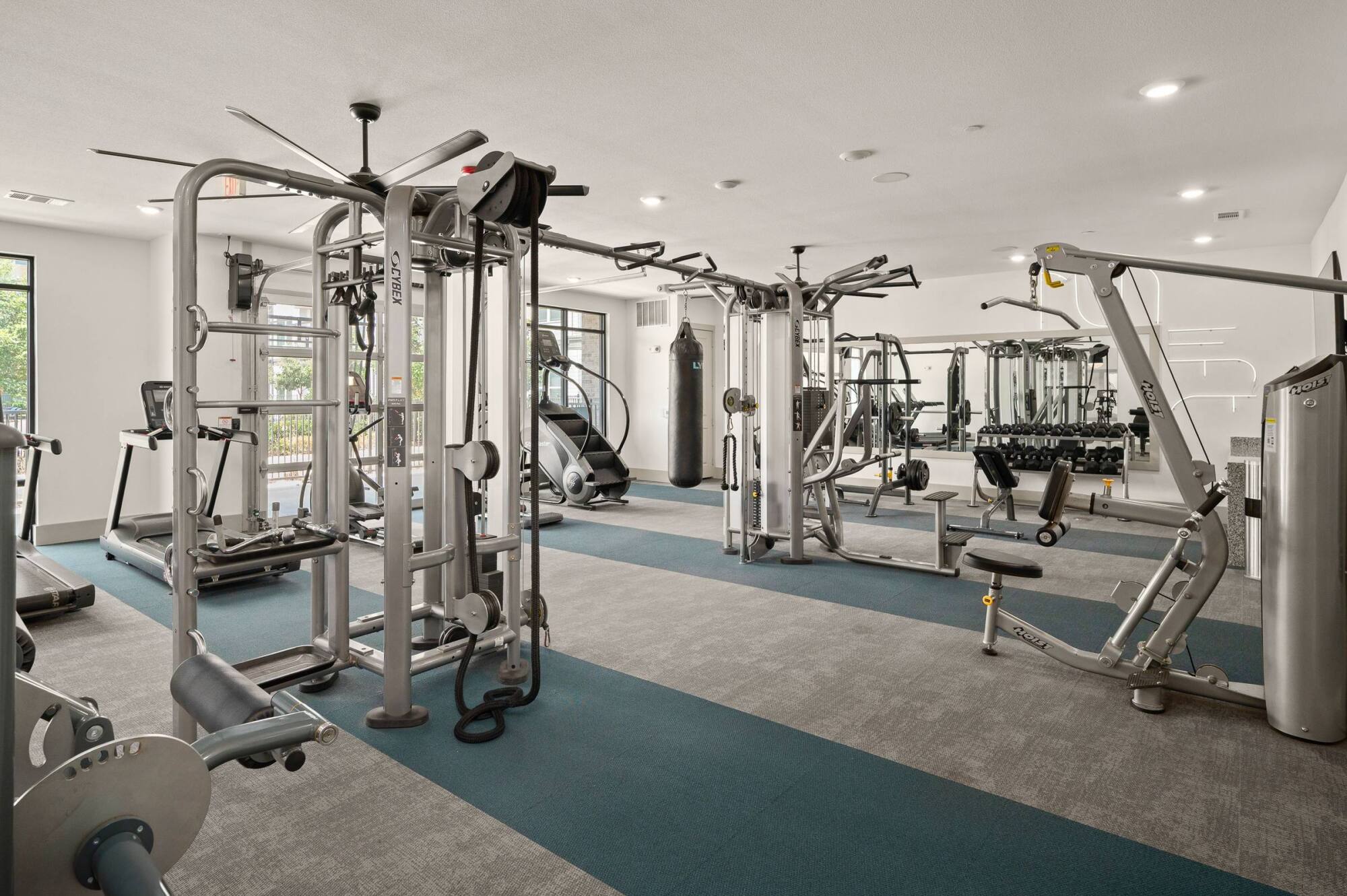 Modern gym with various exercise machines, free weights, mirrors, and natural light from large windows.