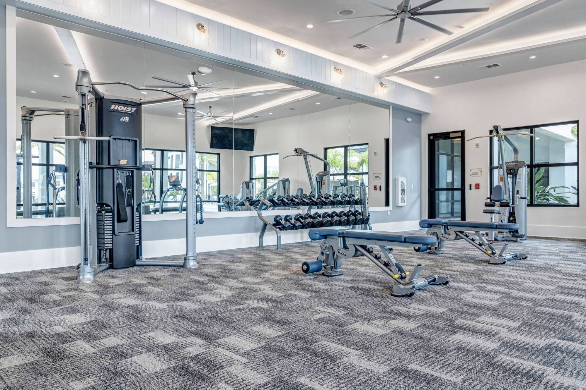 Modern gym with weight machines, dumbbells, benches, large mirrors, and ample natural light from windows.