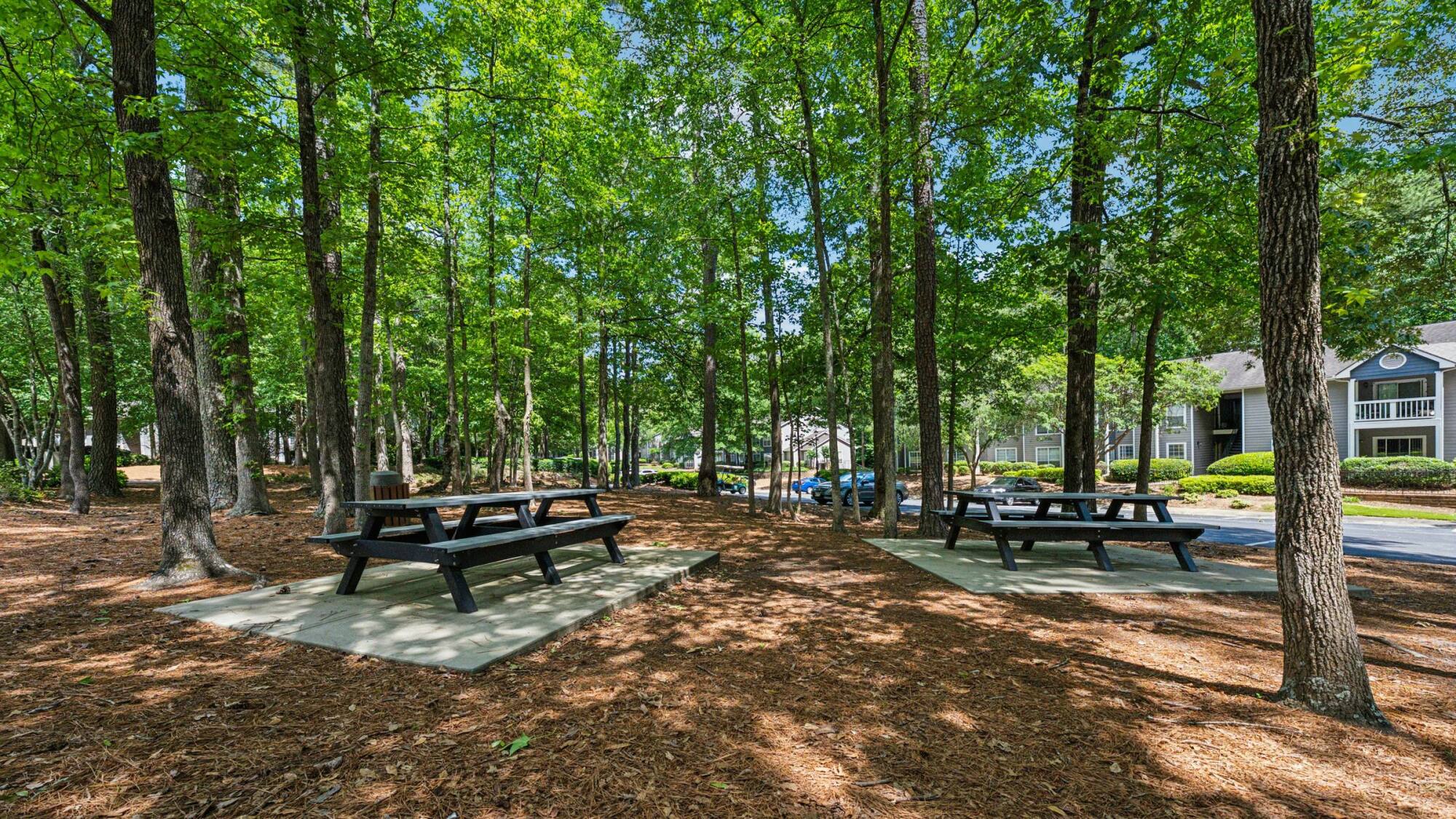 Two picnic tables on concrete pads surrounded by tall trees in a shaded outdoor area near apartment buildings.