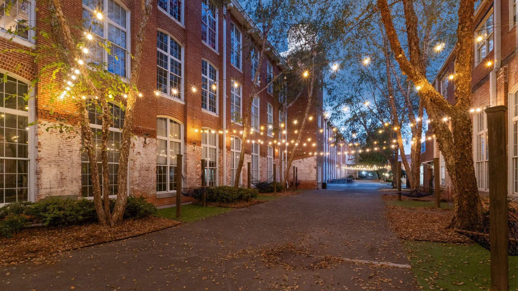 Brick building with large windows, trees, and string lights hanging above a quiet walkway at dusk.