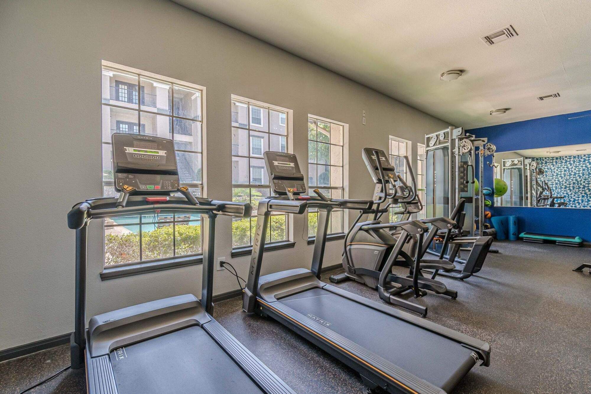 Modern gym with treadmills and elliptical machines by large windows, letting in natural light.