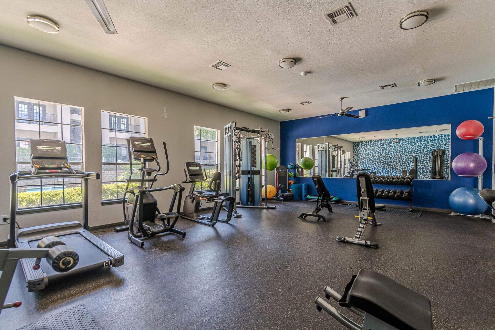 Modern gym with exercise machines, free weights, mirrors, and colorful exercise balls near large windows.