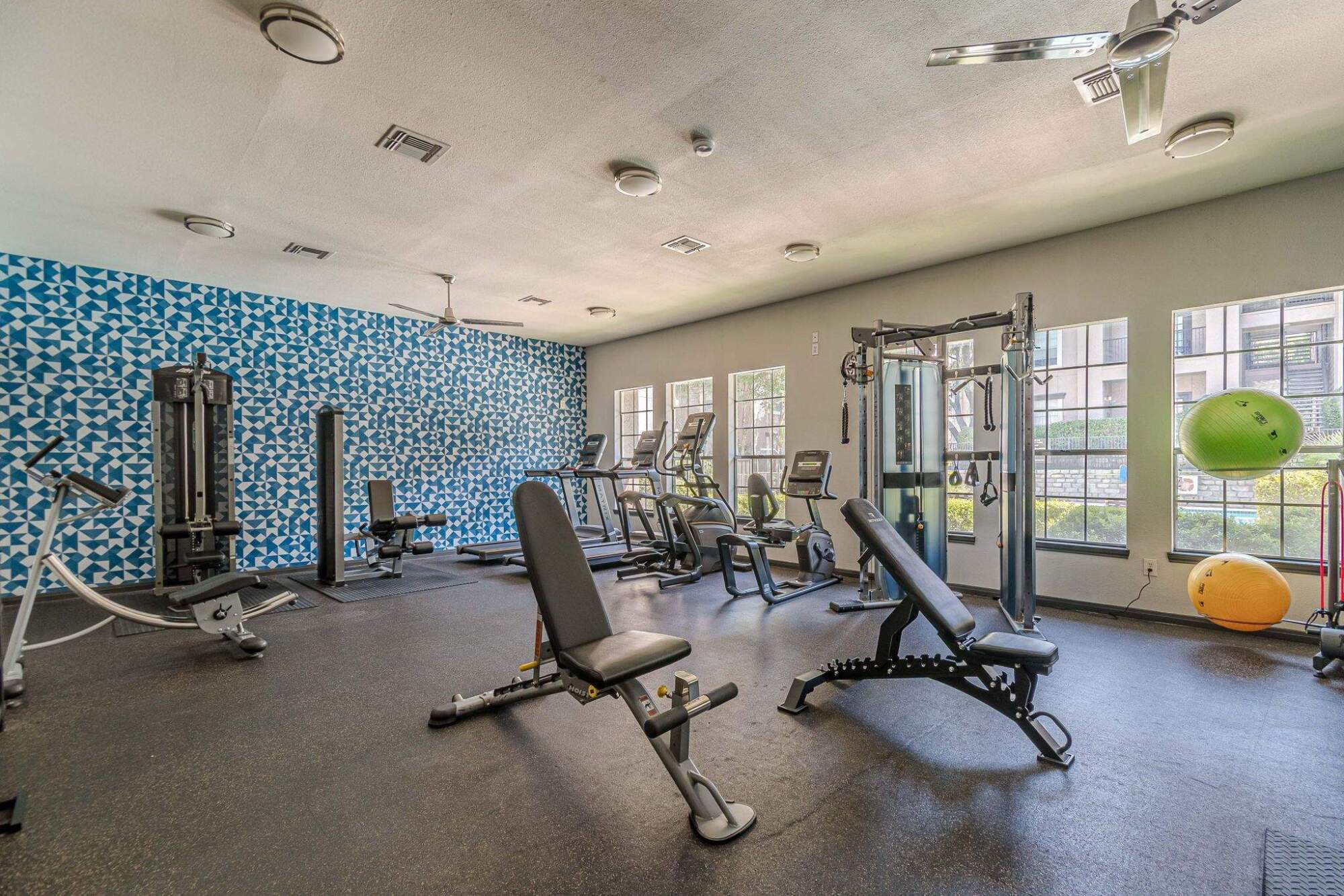 A modern gym with weight machines, benches, cardio equipment, medicine balls, and large windows.