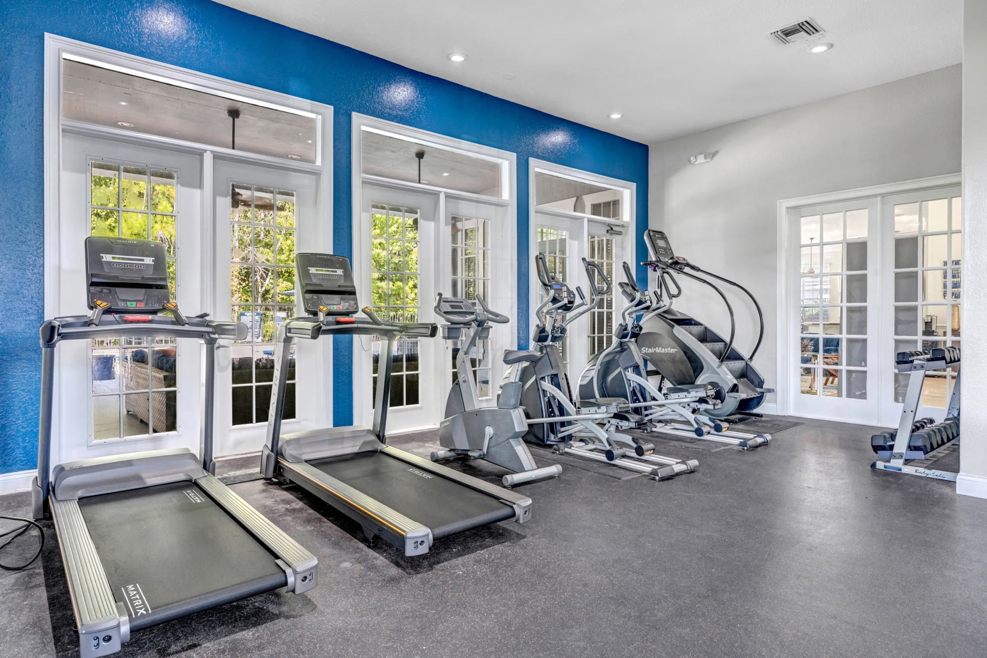 Bright fitness center with treadmills and elliptical machines lined up against tall windows, a vivid blue accent wall, and natural daylight streaming in.