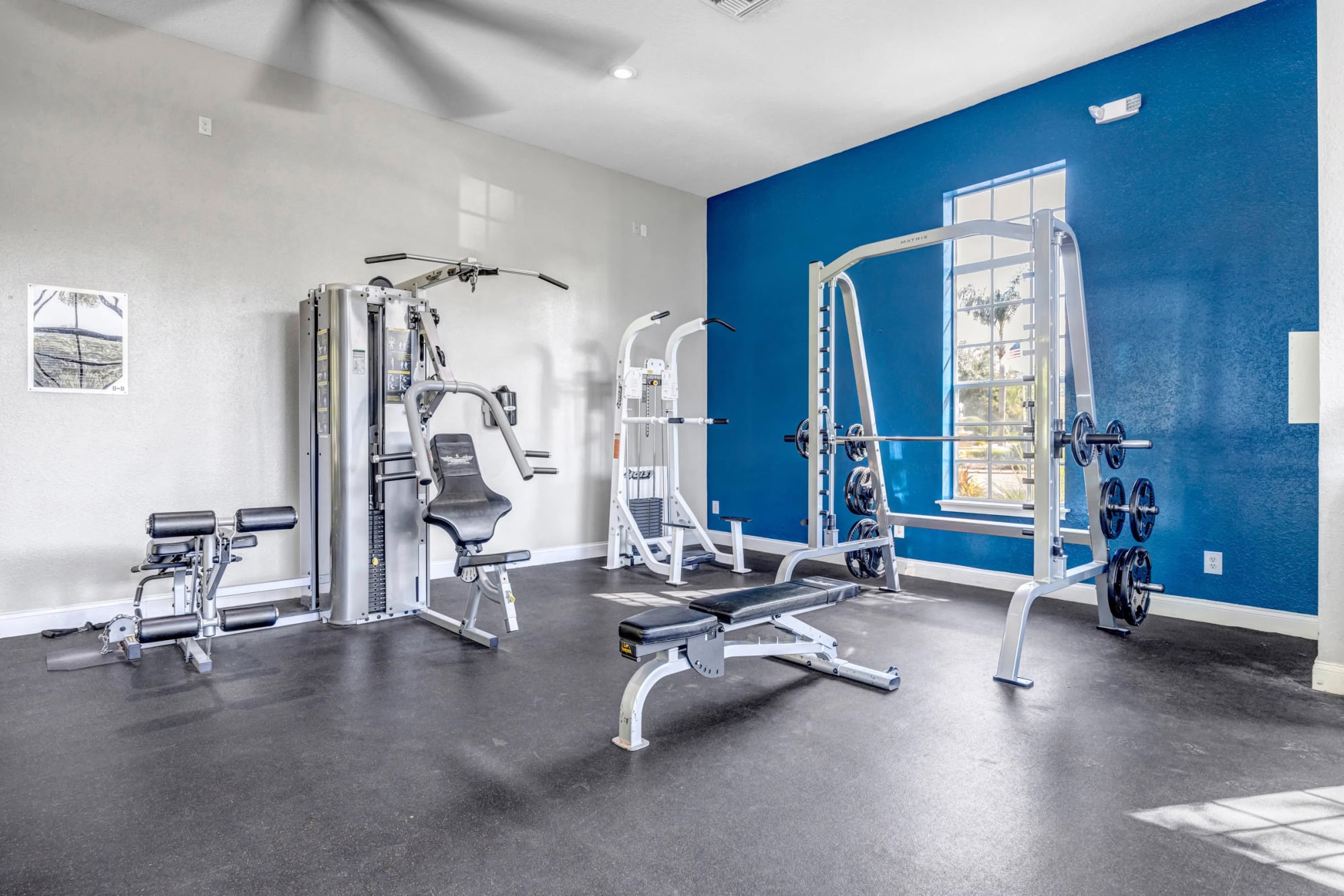 Strength training area featuring a multi-station weight machine, Smith machine with Olympic plates, adjustable bench, and a bold cobalt blue accent wall with a tall window.