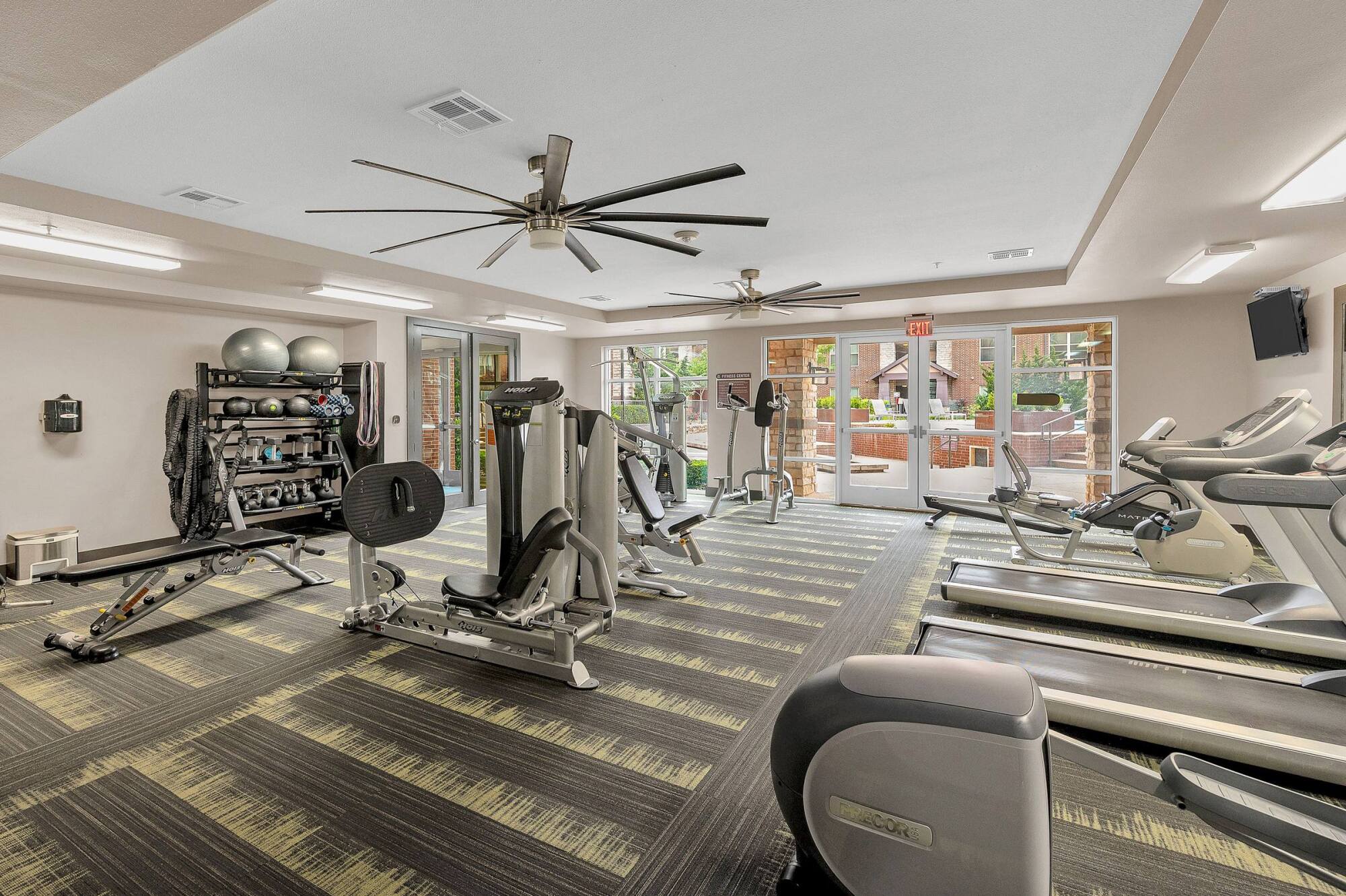 Modern gym with treadmills, strength machines, free weights, and large windows letting in natural light.