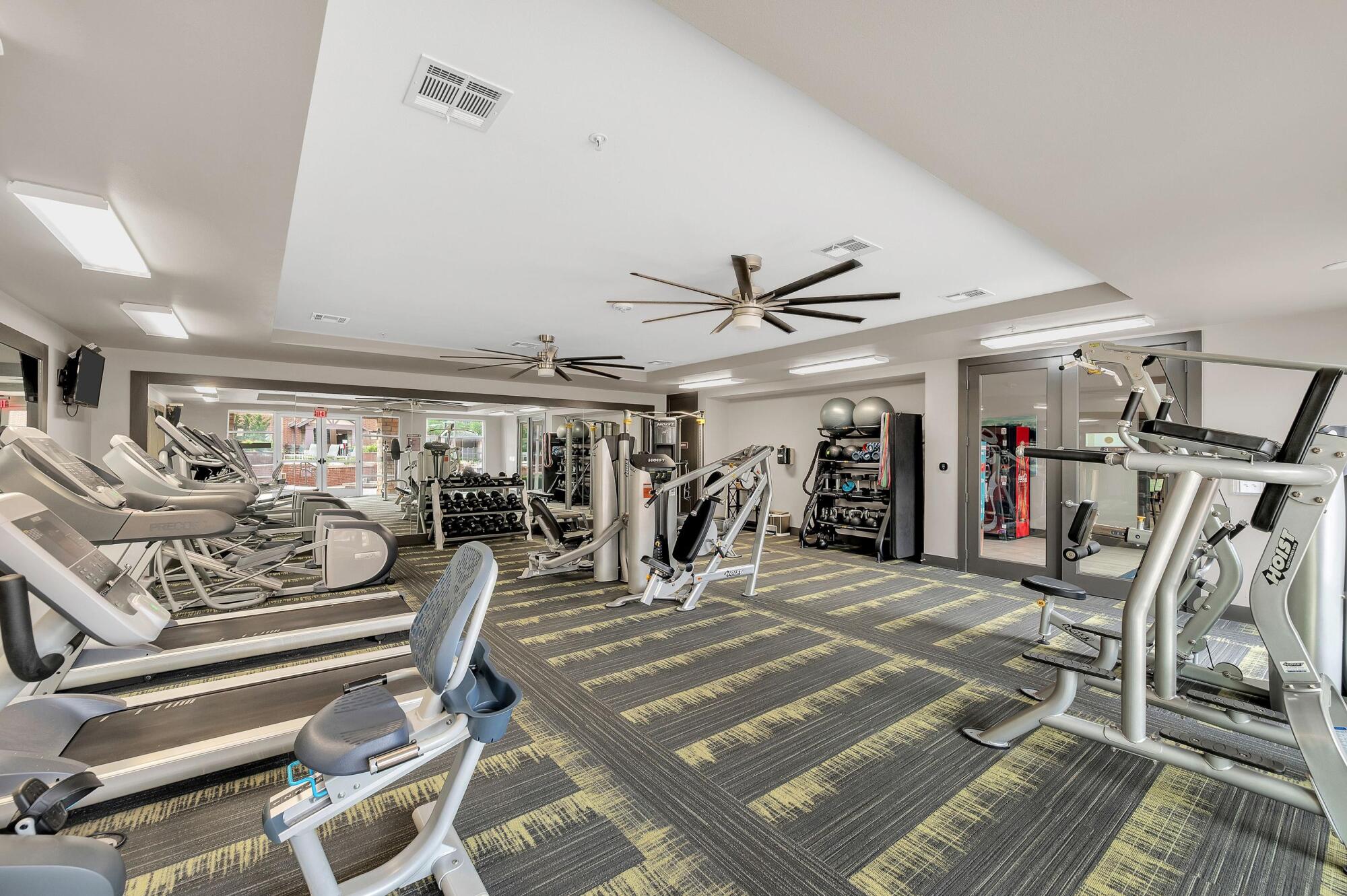 Modern gym with cardio machines, weight machines, free weights, mirrors, and ceiling fans in a bright room.
