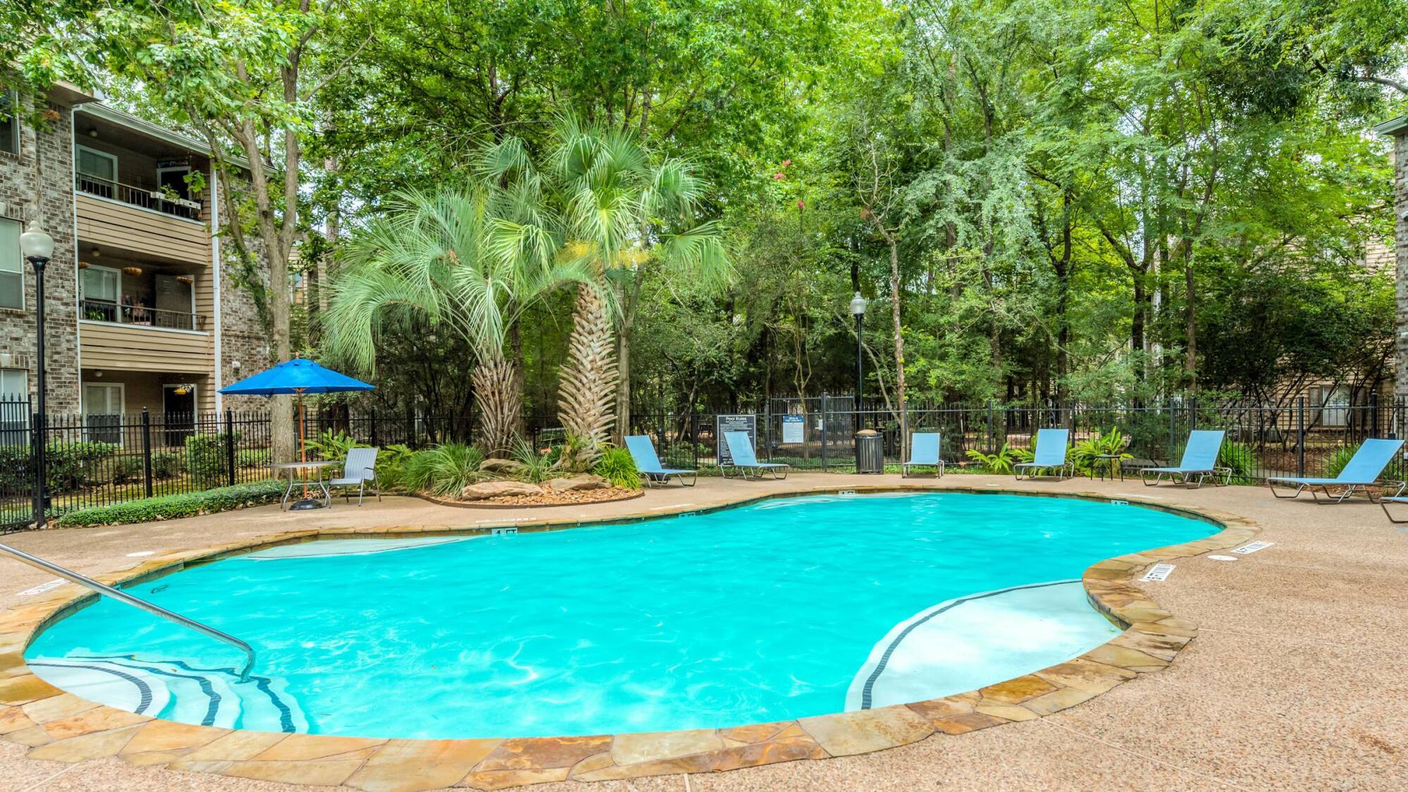 Sparkling pool at Forest View in The Woodlands, TX surrounded by palm trees, tall pines, and poolside lounge seating.