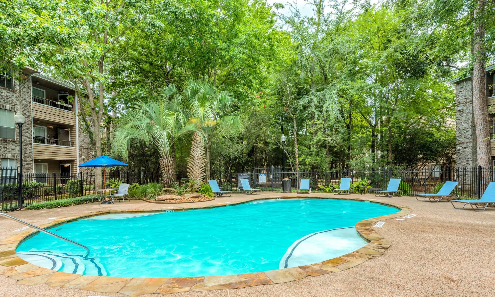 Resort-style swimming pool at Forest View in The Woodlands, TX, framed by towering pines, palm trees, and poolside lounge chairs.