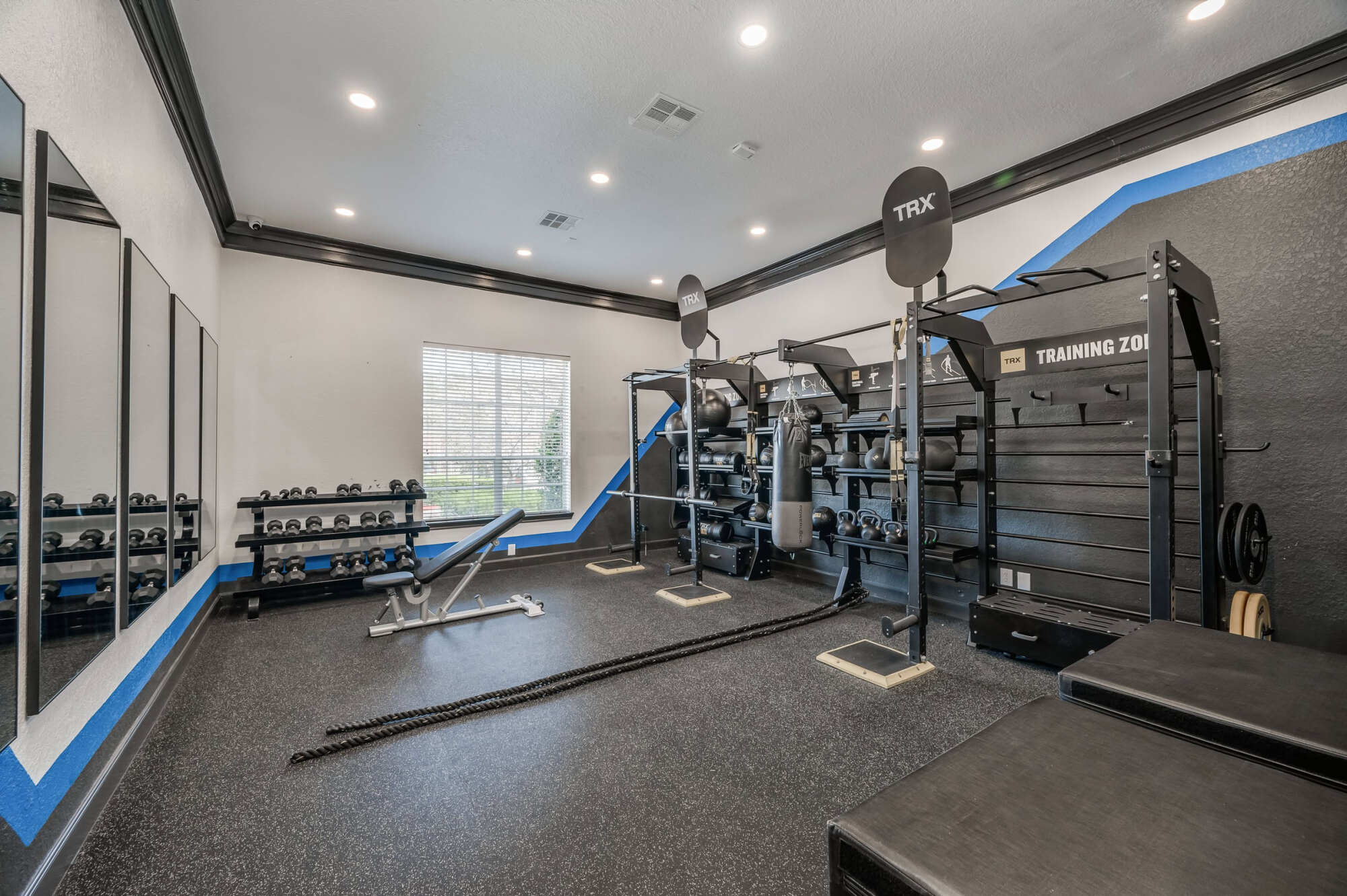 Strength-training area of the gym with a TRX rig, weight rack with dumbbells, an adjustable bench, battle ropes, and a blue "Training Zone" accent wall.