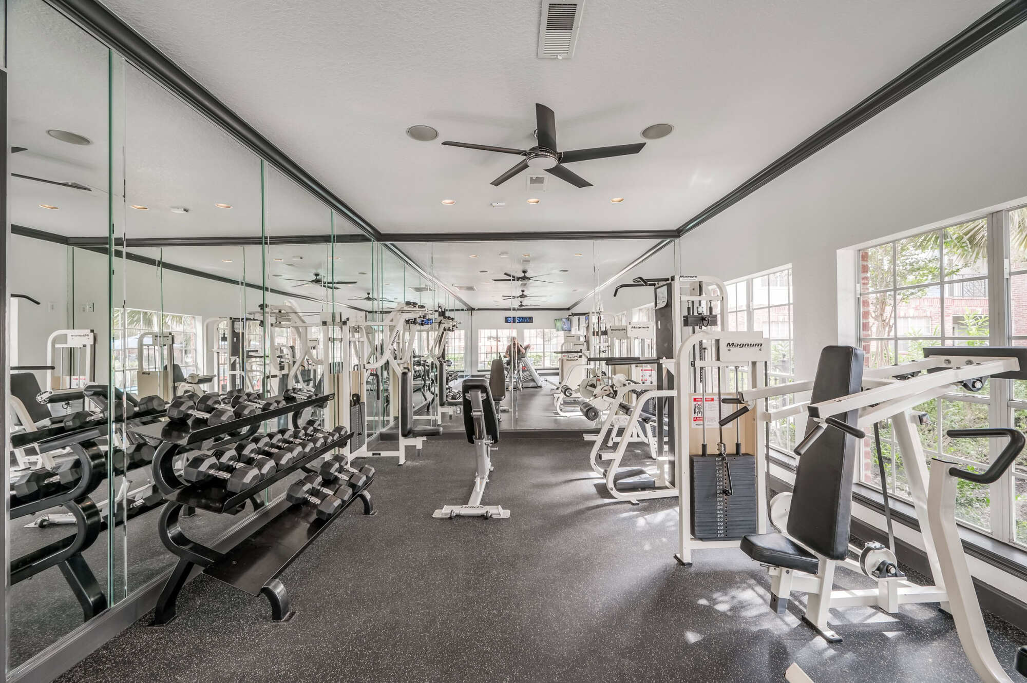 Well-equipped fitness center with weight machines, free weights, treadmills, and a mirrored wall, lit by large windows overlooking greenery.