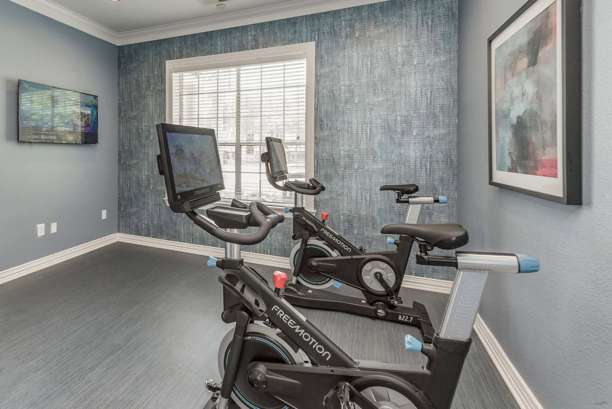 Spin studio with FreeMotion indoor cycling bikes, a wall-mounted TV, framed artwork, and a textured blue accent wall by a blinded window.