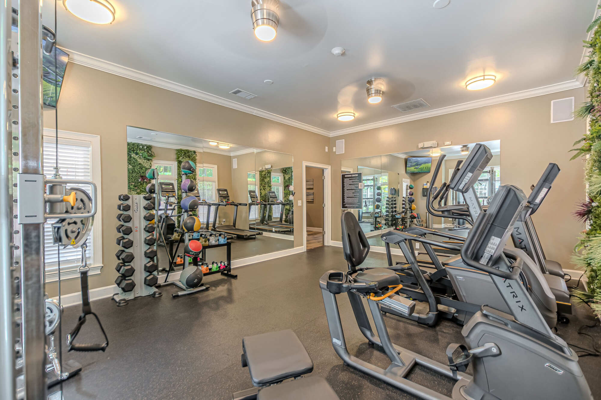 Gym featuring a cable strength machine, free-weight rack, mirrored wall, treadmills, and an elliptical, with medicine balls and a wall-mounted TV.