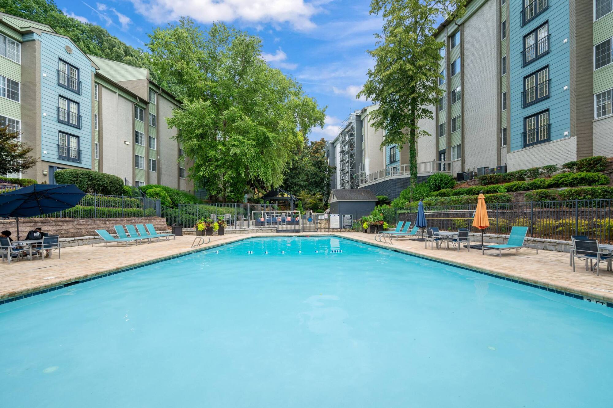 Resort-style swimming pool at The Whitney in Atlanta, GA, lined with lounge chairs and shaded by tall willow and oak trees.