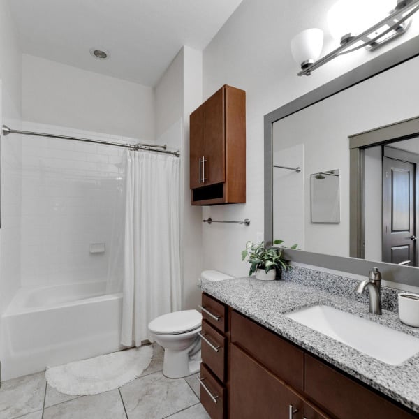 Unit bathroom