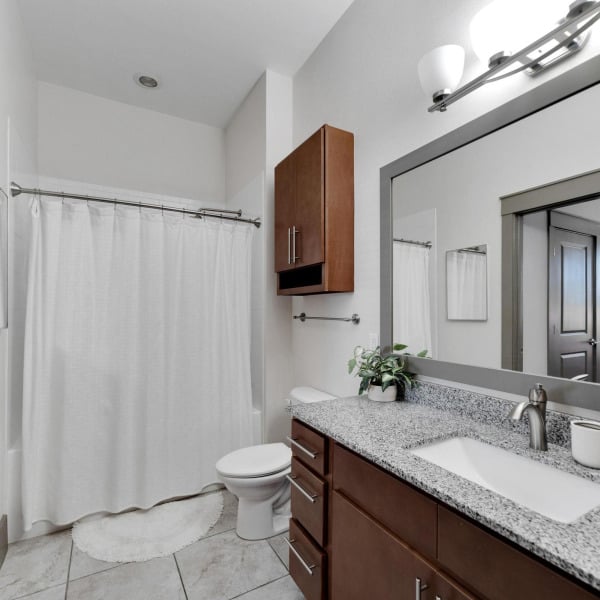 Unit bathroom