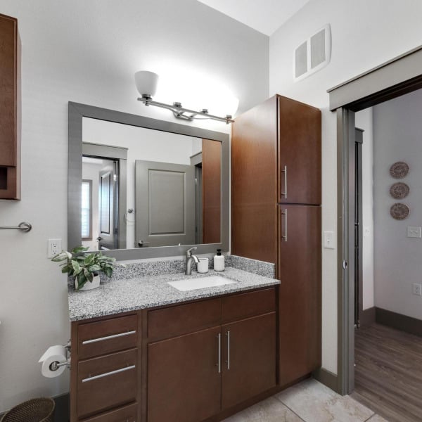 Unit bathroom