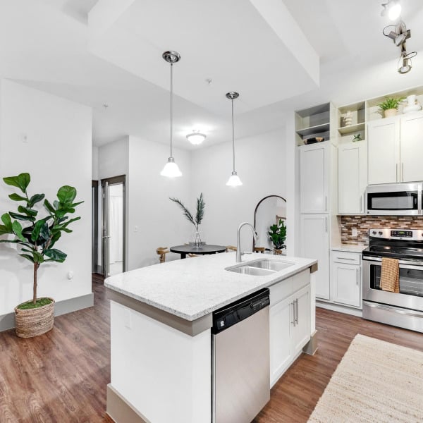 Unit kitchen