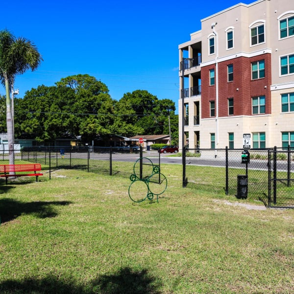 Dog park