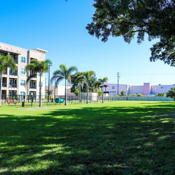 Park area