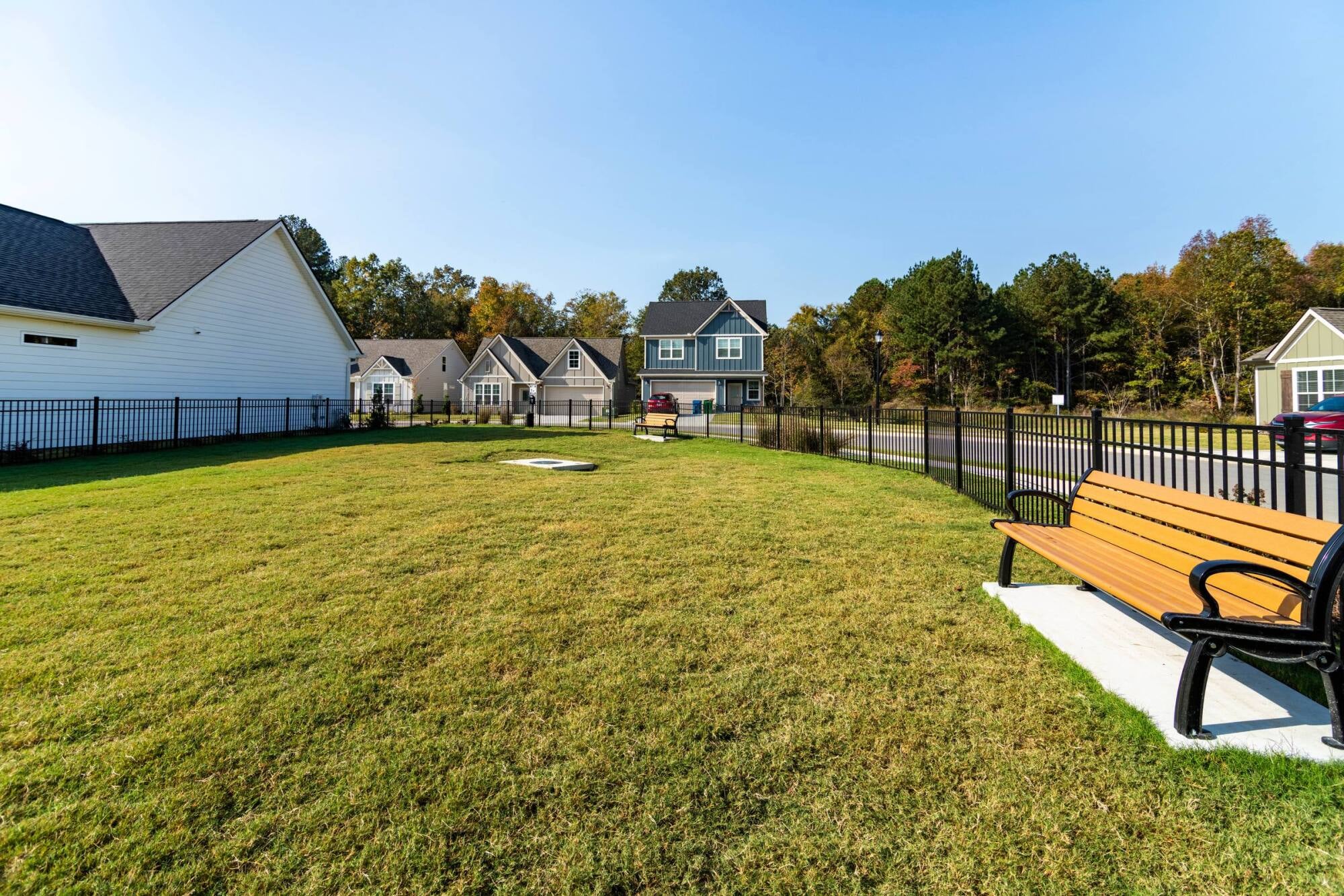 cottages-at-thrasher-7716 Canopy Cir_backyard - 009