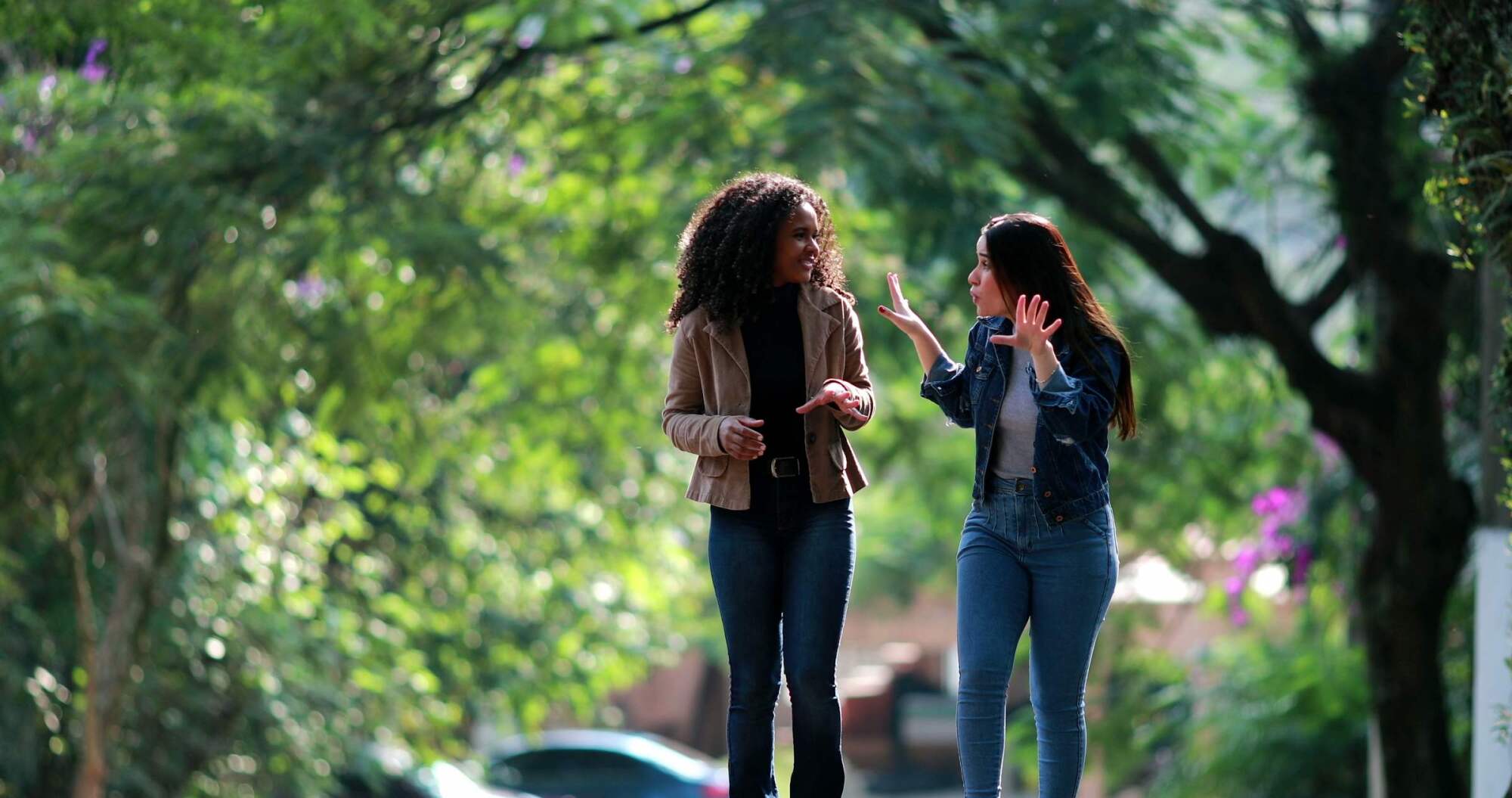 Two women walking outdoors, talking animatedly, surrounded by lush green trees and sunlight.