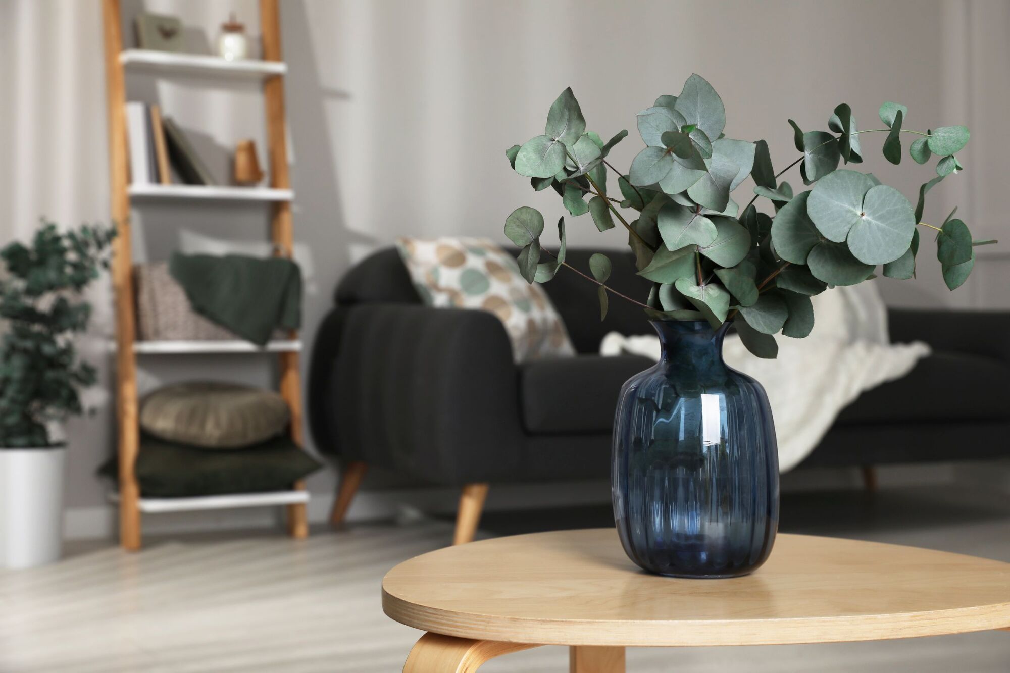 A blue vase with eucalyptus on a wooden table in a cozy living room with a sofa and shelves.