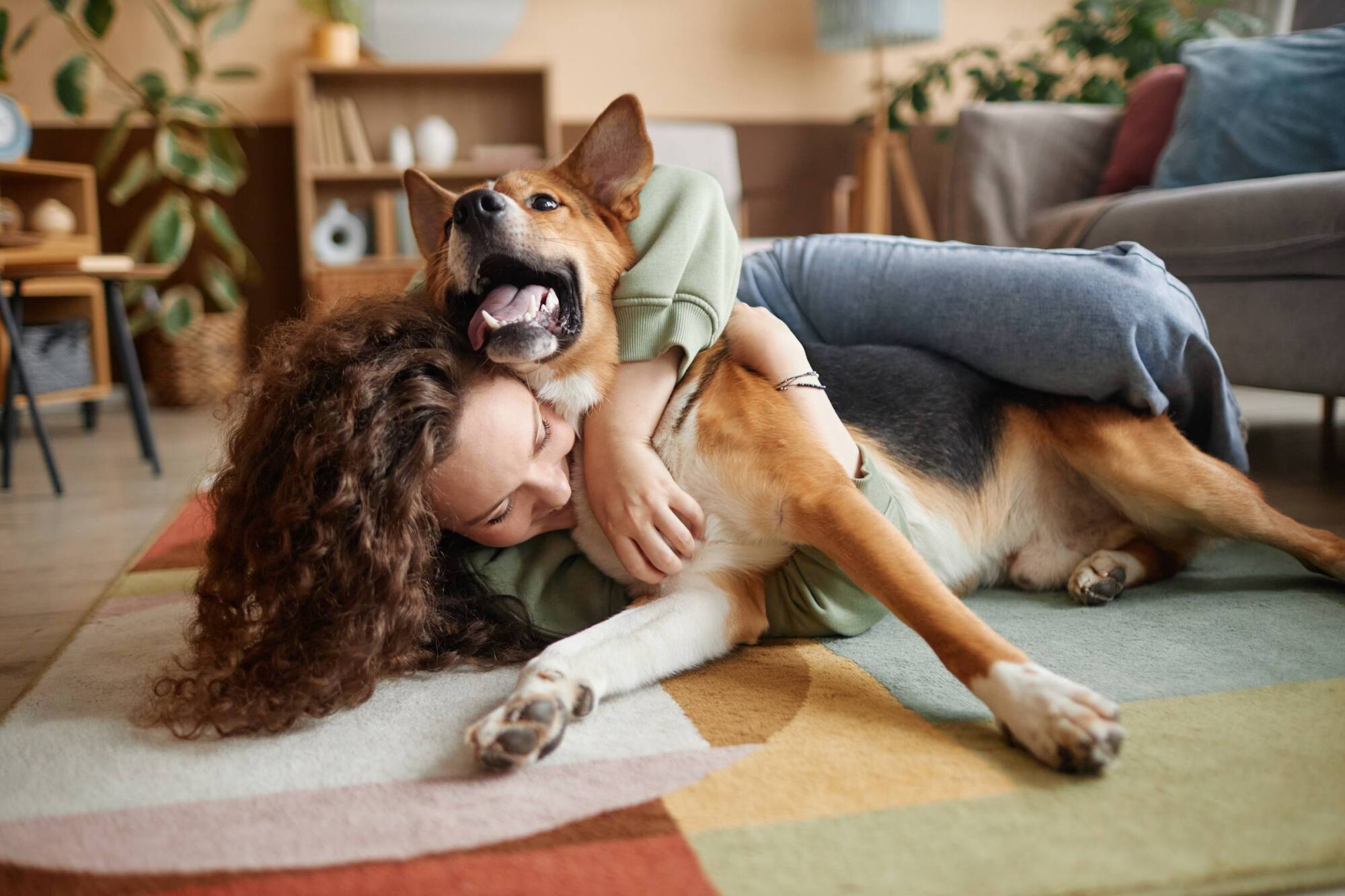 Woman lying on a rug, hugging a large, happy dog in a cozy living room.